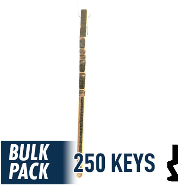 Uncut Key Blank | Schlage | SC1 - 250 Pack - Image 19