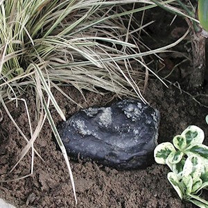Lucky Line | Rock Key Hider 12/Jar - Image 3