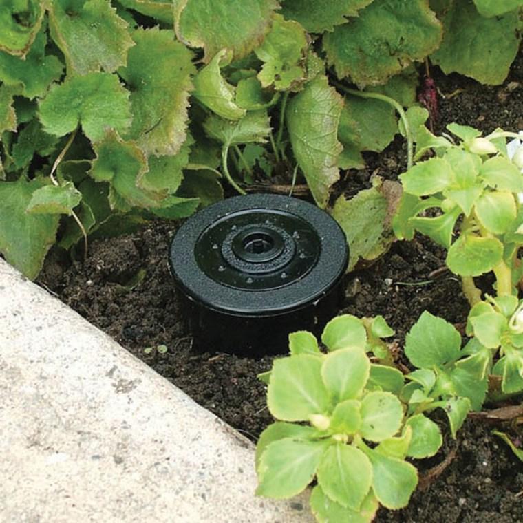 Sprinkler Head Key Hider Display 12-Pack - Image 3